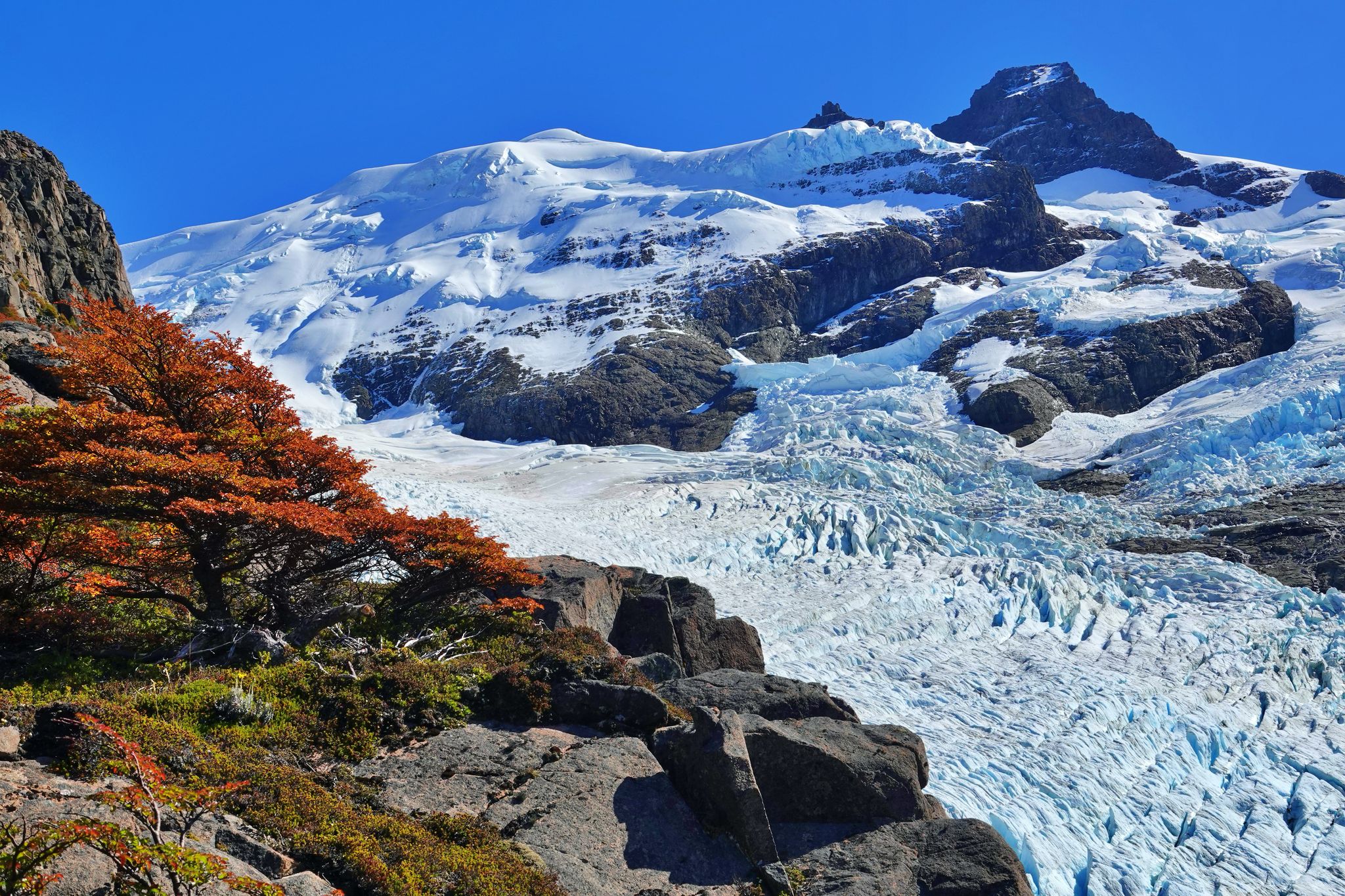 Trek Glaciar Vespignani